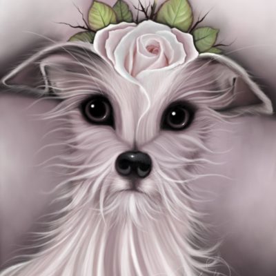 Lola Limited Edition